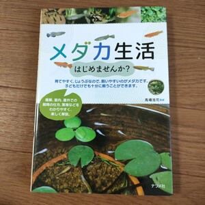 ★送料無料 H 即決♪　メダカ生活はじめませんか？ 馬場浩司／監修　vv⑧