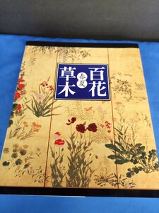 百花草木 春夏 学研 2003年 第1刷 生け花