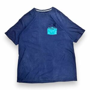 Patagonia パタゴニア半袖Tシャツ カットソー ポケット アウトドア ネイビー L