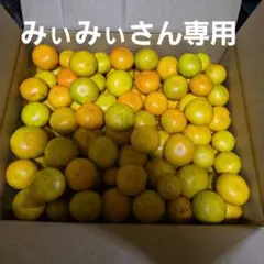 訳あり自家製無農薬みかん約15kg