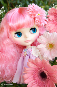 ネオブライス シャルロット デ フルール　SHOP限定　未開封　ダンボール付き　Blythe ブライス