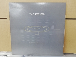 Yes - Owner of a lonely heart