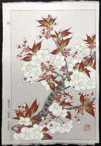 木版画 河原崎奨堂【桜】芸艸堂版 大判 彫長島 摺吉田 真作 ■ 浮世絵 新版画 植物画 Ukiyoe