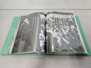 仙台市若林区～当時物レアアイテム 超美品！/尾崎豊シリーズ 雑誌切り抜き 大量！ファイル綴じ 約500ページ/良好品/コレクションに！