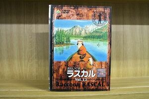 DVD あらいぐまラスカル 全13巻 ※ケース無し発送 レンタル落ち ZN905