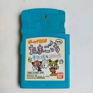 [同梱可]ゲームで発見 たまごっち オスっちメスっち GameBoy ゲームボーイ 動作確認済・端子清掃済[GB8147_872]