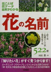 花の名前 庭の花・花屋さんの花・園芸店の花522種/浜田豊(著者)