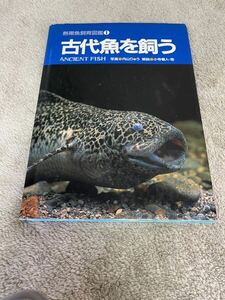 古代魚を飼う 熱帯魚飼育図鑑1 内山りゅう 小寺春人 マリン企画 2002年発行