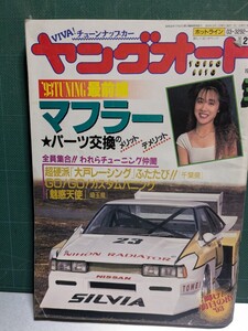 ヤングオート19933高速有鉛街道レーサー暴走族GX71マークⅡハチマルヒーローレルソアラ430セドリックラウンミラブ灯クレスタグロリア水中花