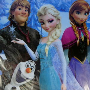 アナと雪の女王★４段式クリアーファイル★Disney（ディズニー）★アナ雪★一つのクリアーファイル内で４種類の分類が出来るタイプ★新品