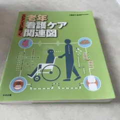 エビデンスに基づく老年看護ケア関連図