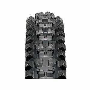 IRC TIRE (アイ・アール・シー) 自転車 タイヤ TANKEN TUBELESS READY タンケン チューブレスレディ 700 ×