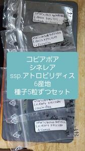 コピアポア　シネレア ssp.アルボビリディス　6産地　5粒ずつセット