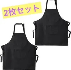 一点限り❣️【2枚セット】 エプロン 作業用 カフェエプロン ガーデンエプロン