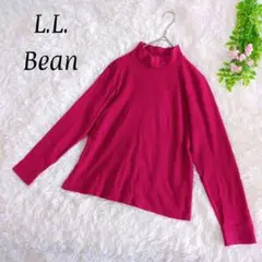 h237【L.L.Bean】ボーダーカットソー M コットン100% トップス