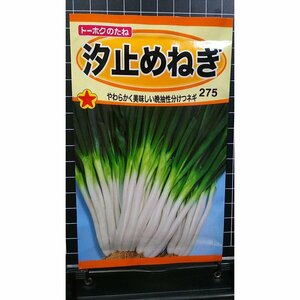 ３袋セット 汐止め しおどめ ねぎ ネギ 葱 種 郵便は送料無料