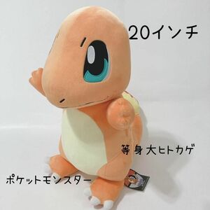 ポケットモンスター ヒトカゲ ポケモンセンター ぬいぐるみ 等身大20インチ