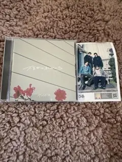 不器用なわたしだから　ヤングスキニーCD