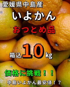 os中島郵便局より発送！！ 愛媛県中島産いよかんおつとめ品箱込10kg④