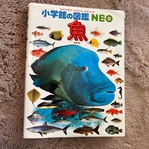 小学館の図鑑　NEO 魚