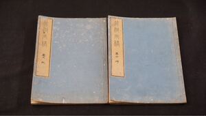 古書 文化九年[1812年]竹洞画稿 全二冊 漢籍 線装本 中国書 唐本 和本 古典籍 和綴じ 木版画 中国画 絵画技法書 (H9)