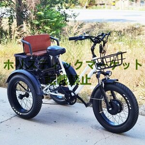 お見逃しなく 20インチ電動自転車 厚手のタイヤ リチウム電池 三輪車 48V 750Wワイドペダル 三輪車 Q0164