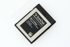 極美品｜サンディスク PRO-CINEMA CFexpressカード VPG400 Type-B 256GB γH3283-2D2C