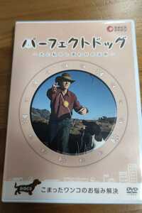 美品　DVD パーフェクトドッグ　こまったワンコのお悩み解決　DISC３　ショップジャパン