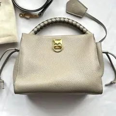 mulberry マルベリー スモールアイリス 2wayショルダーバッグ