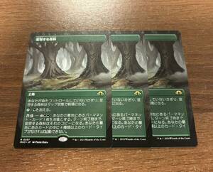 MTG モダンホライゾン3 ボーダーレス 変容する森林 3枚セット