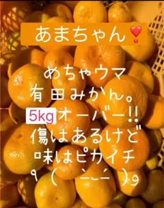 温州みかん ♡有田みかん(家庭用) 5キロオーバー　送料無料　産地直送