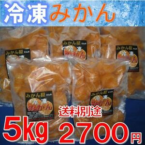 冷凍みかん ５kg（1ｋｇ×５袋）　訳あり　宮崎県産　温州みかん　ご自宅用　ご家庭用