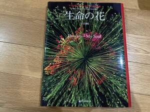 生命（いのち）の花　マミ川崎フラワーデザイン作品集成