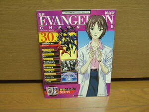 EVANGELION CHRONICLE 新訂版　NO.30