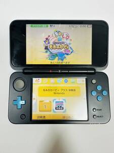 Nintendo new 2DS LL JAN-001 No.115