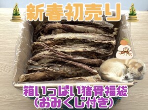 ☆フォロワー様限定☆箱いっぱい猪骨福袋ジャーキー(簡易包装/不揃い）