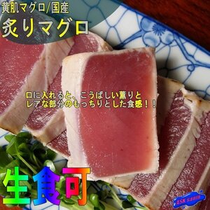 脂の乗りは格別!! 炙り「まぐろタタキ3kg」キハダ鮪、炭焼き