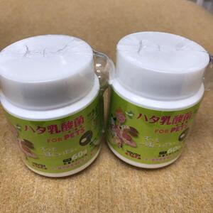 新品未使用 ハタ乳酸菌　FOR PETS 60g ×2個 軽量スプーン付