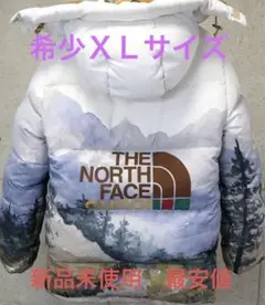 新品◆XL◆グッチ GUCCI×THE NORTH FACEダウンジャケット風景