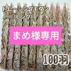 【送料込み！】㉖ ミニ　折り鶴　100羽　トレーシングモダン　ピンク