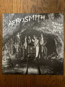 AEROSMITH Night in The Ruts 国内盤 