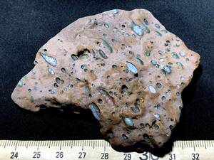 【新出】内蒙古瑪瑙・阿拉善戈壁奇石緑豆石・1・81g（中国産鉱物標本）