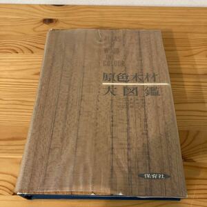 【函なし】原色木材大図鑑　保育社　貴島恒夫　岡本省吾　林昭三