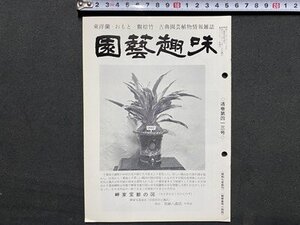 ｃ※※　園藝趣味　園芸趣味　東洋蘭・おもと・観棕竹・古典園芸植物情報雑誌　昭和57年　通巻第413号　日月園出版部　当時物　/　K50