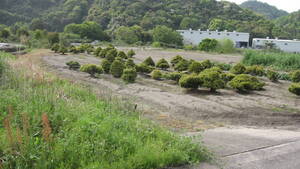 売り土地　農地　土地のみ　小作権付、年貢付き　小作者了解済　