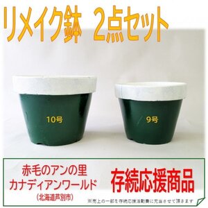 リメイク鉢 2点セット グリーン×白 9号～10号 植木鉢 駄鉢 ガーデニング 自然 花