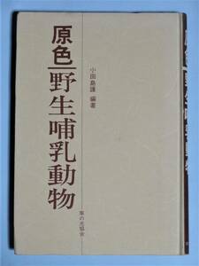 原色 野生哺乳動物　小田島護 編著