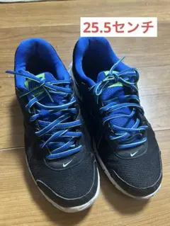 Nike スニーカー 黒/青　25.5センチ