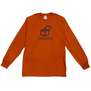 ale (アレ) PANDORA ロング スリーブ Tシャツ (M) TEXAS ORANGE a2020FW-PRST | futsal soccer フットサル サッカー オレンジ