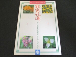 本 No2 00764 龍宮花道 ワッカ原生花園ネイチャーガイド 平成4年12月1日第2刷 北海道サロマ湖鮮 常呂町